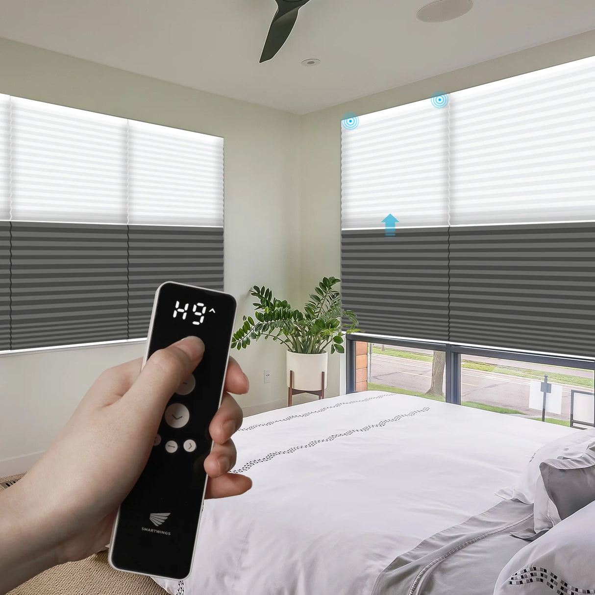 Motorized Blackout And Light Filtering Day/Night Cellular Shades Nowa