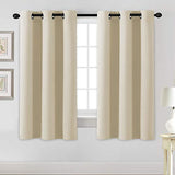 PrimeBeau Essential Blackout Thermal Insulated Curtain Drapes Set of 2 panels, 42 Series