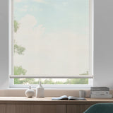 50% Flight Filter Motorized Roller Shades PVC Sun-Screen