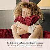 Primebeau premium all season microfiber fleece bed blanket heavy weight and double sided soft and cozy