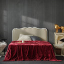 Primebeau premium all season microfiber fleece bed blanket heavy weight and double sided soft and cozy