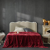 Primebeau premium all season microfiber fleece bed blanket heavy weight and double sided soft and cozy